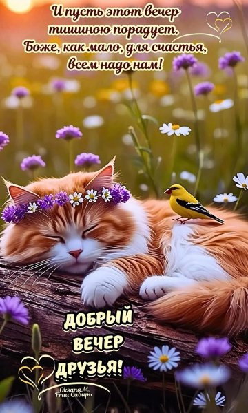 IMG 20260512 223330 171