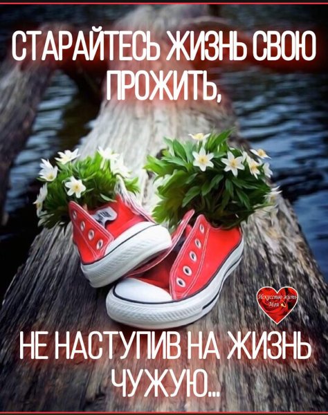 жить