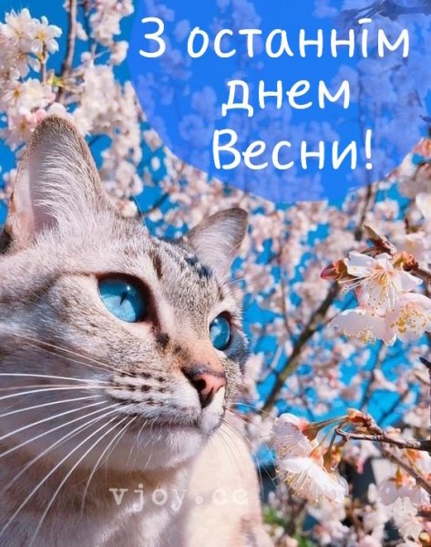05-31