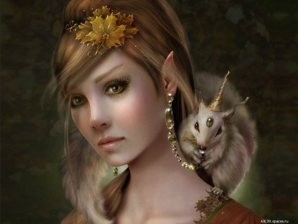 Elfi