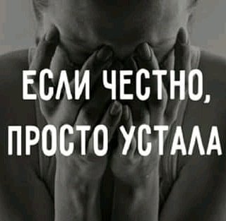 fa564bd362983b533b7a19378dad