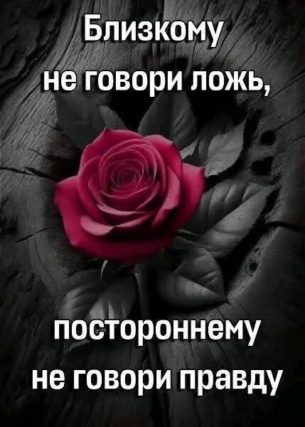 picture_419856630