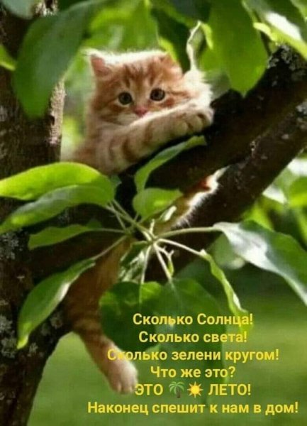 FB IMG 1621719795691