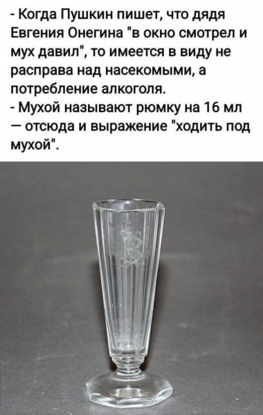 Под мухой )
