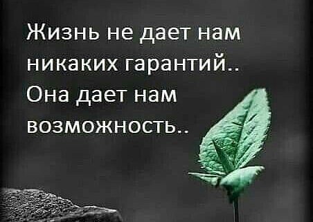 image (3) (26)