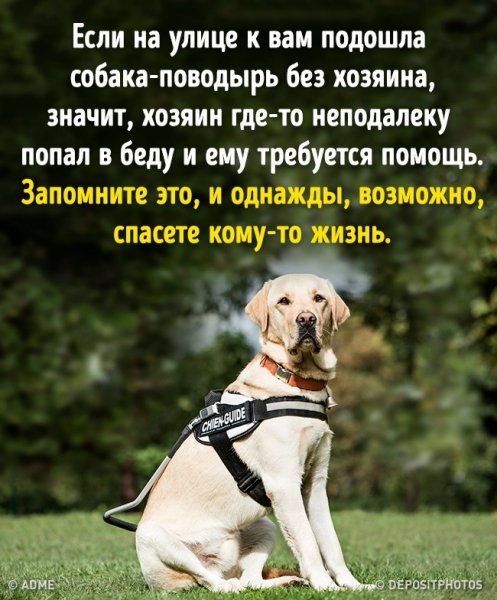 Помните!