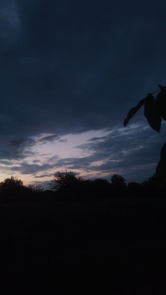picture_413975796