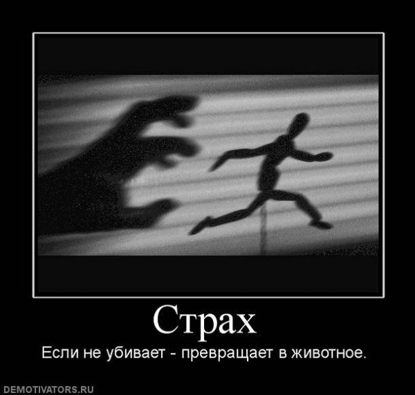 Demotivator (5)
