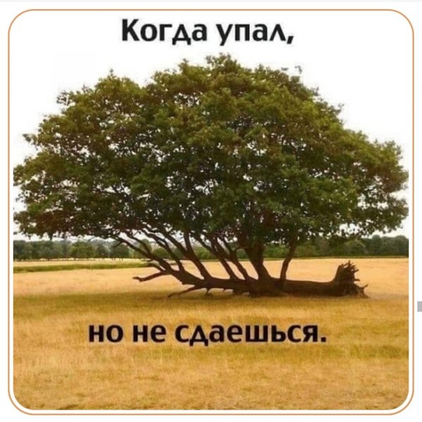 IMG 20200201 230825