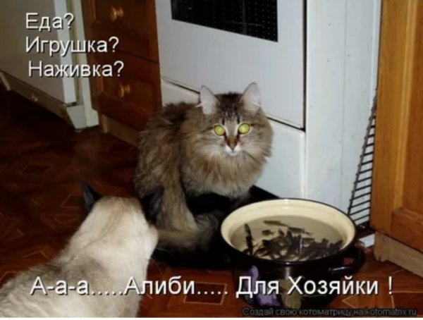 Алиби...