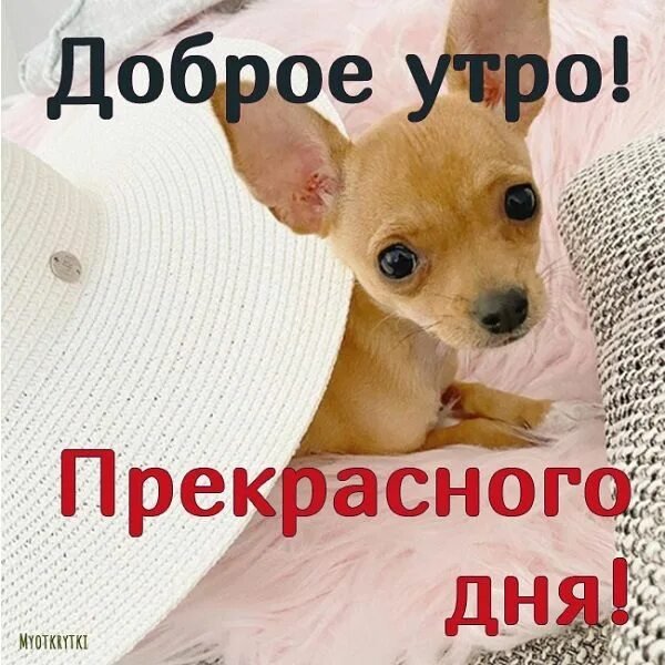 Всем вам!