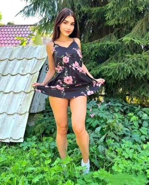 picture_390448499