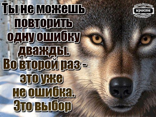 picture_213656137