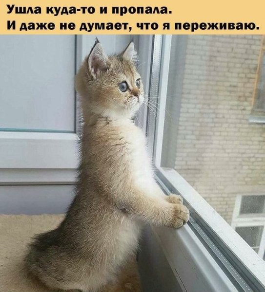 picture_418347798