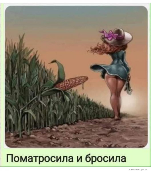IMG 20190726 200340