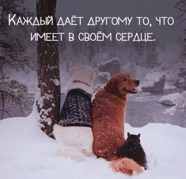IMG 20250129 131623 896