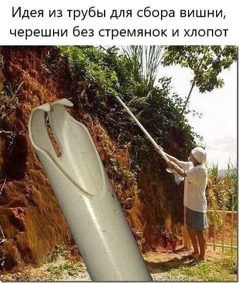IMG 20250621 154250