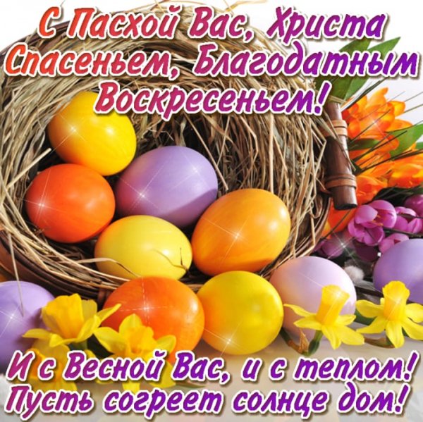 IMG-20210502-WA0002