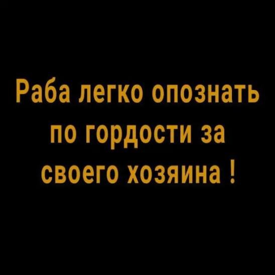 IMG 777983