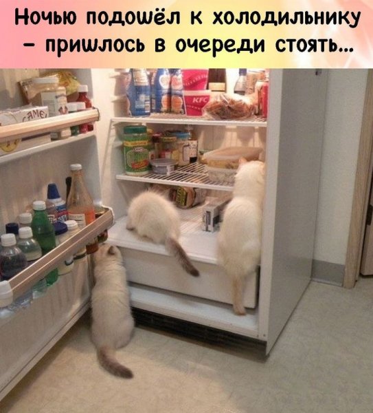 М - да...