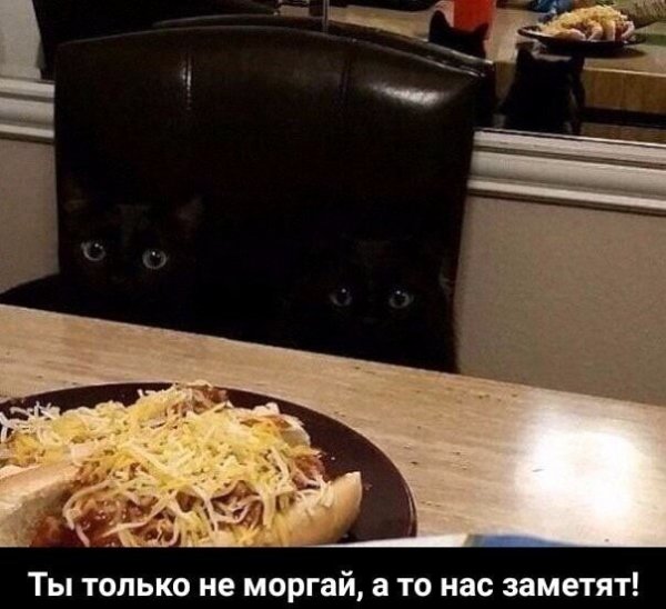 66e971a238432c9c78551