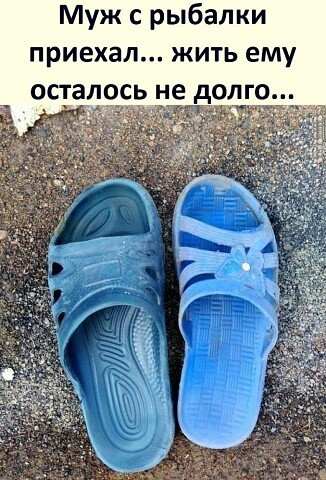 Паливо