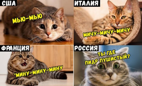 tdW7aUeW2u4