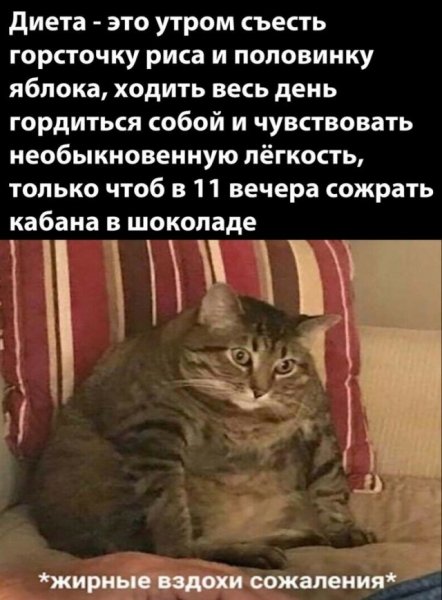 picture_419453338
