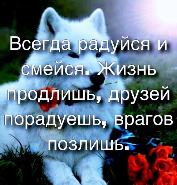 IMG 20211113 014317