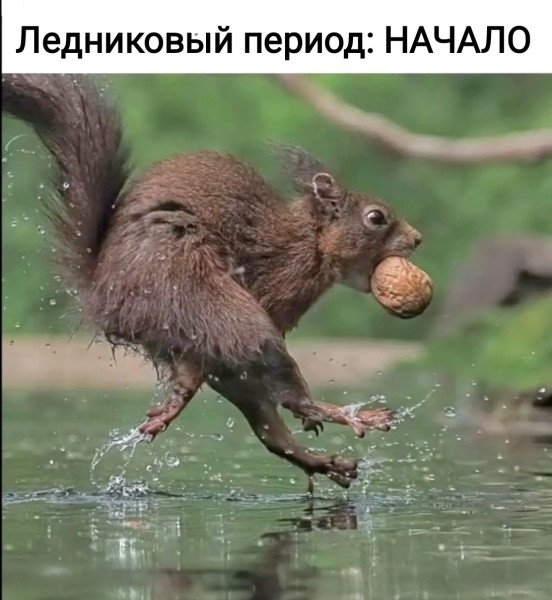 )