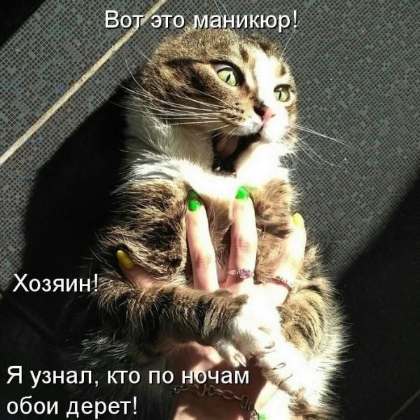 Опаньки!