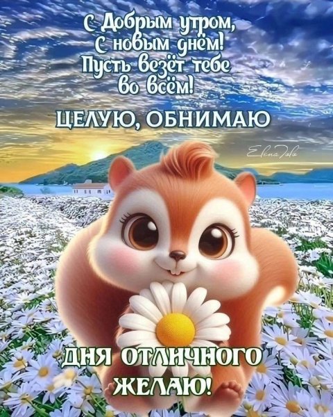A5a779294aac7f0e7c462c3060b50f0b