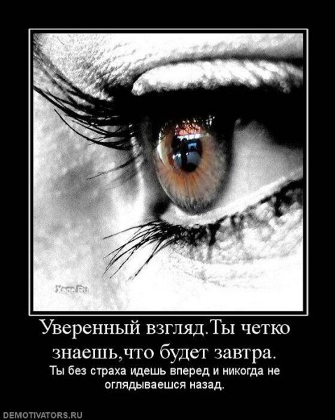 Demotivator (6)