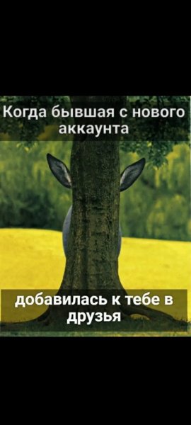 IMG 20260814 213053