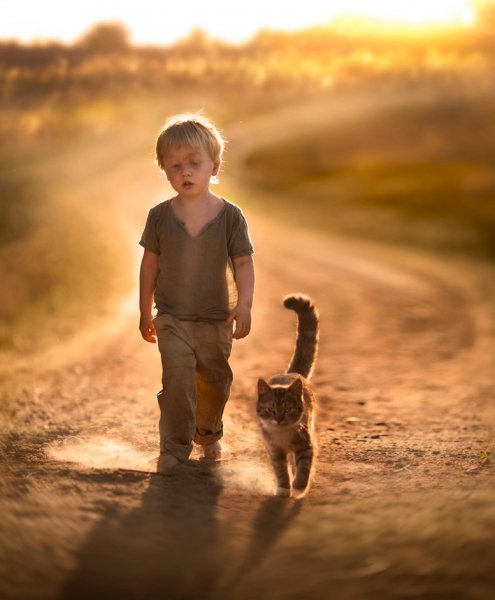 prikol2859