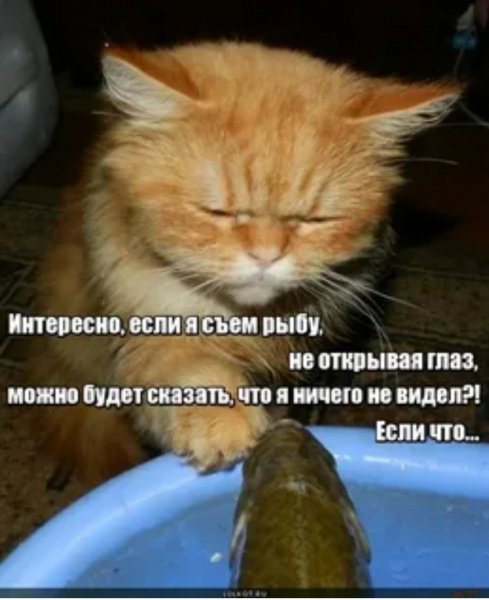 Если что...