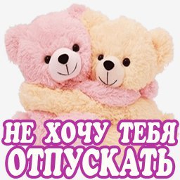 мишки