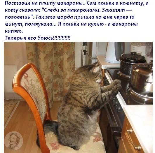 Опаньки!