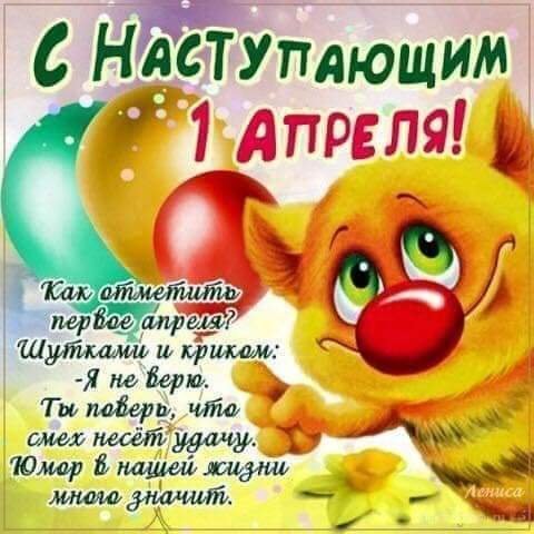 IMG-20210331-WA0041