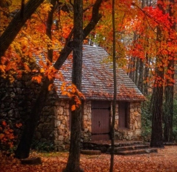 picture_324848989
