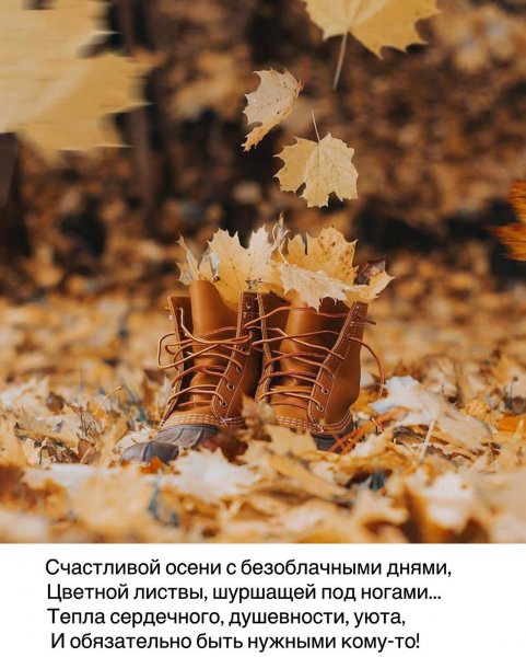 c5e76a5b3db5a4354c43b6de75a87d6b