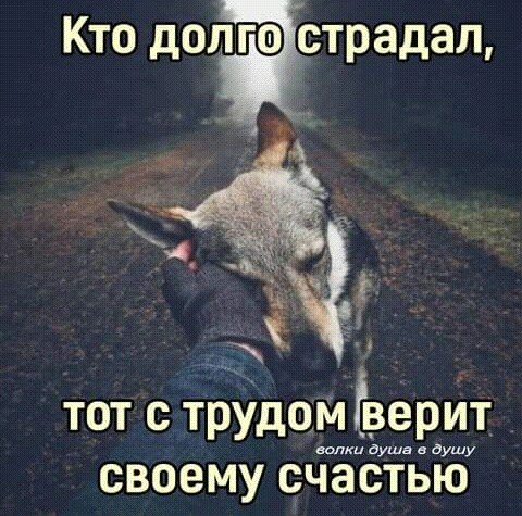 IMG 20210205 023904