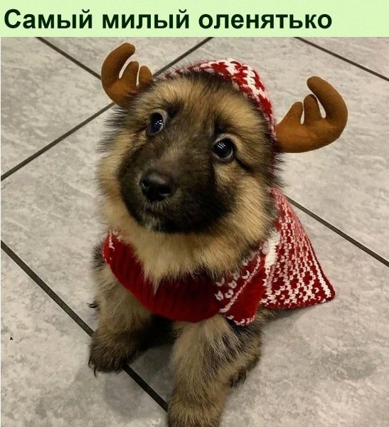Да!!!