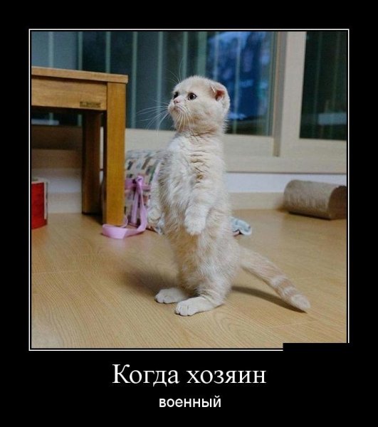 Военный