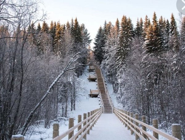 Архангельск. Малые Карелы