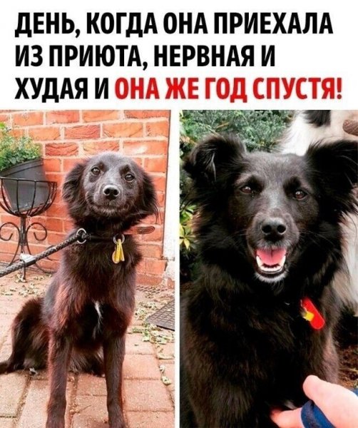 IMG 20260223 221837