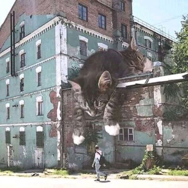 Рисунок на стене