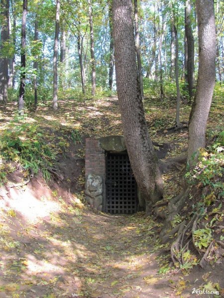 Наш дендропарк
