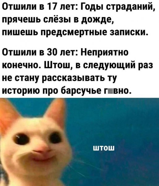 V-mir-svezhih-memov-i-smeshnyh-kommentariev-16