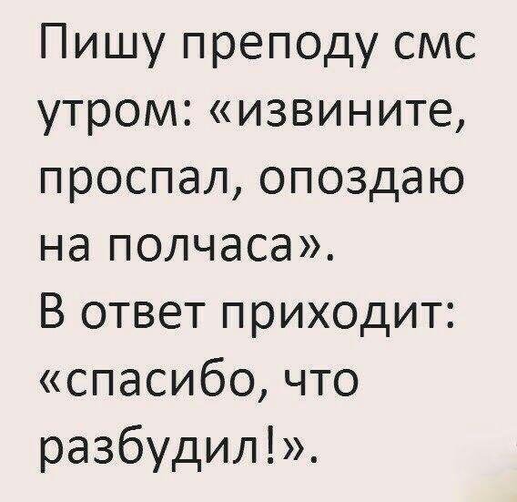 Пошли домой